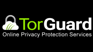 Best Fastest VPN in 2022